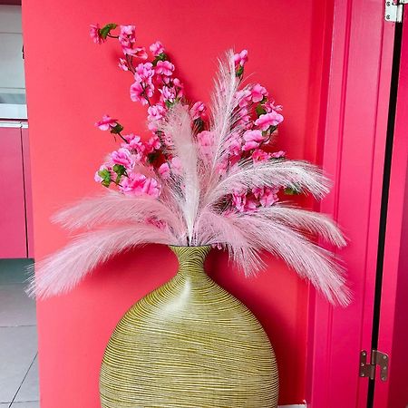 O Apartamento Rosa João Pessoa 외부 사진